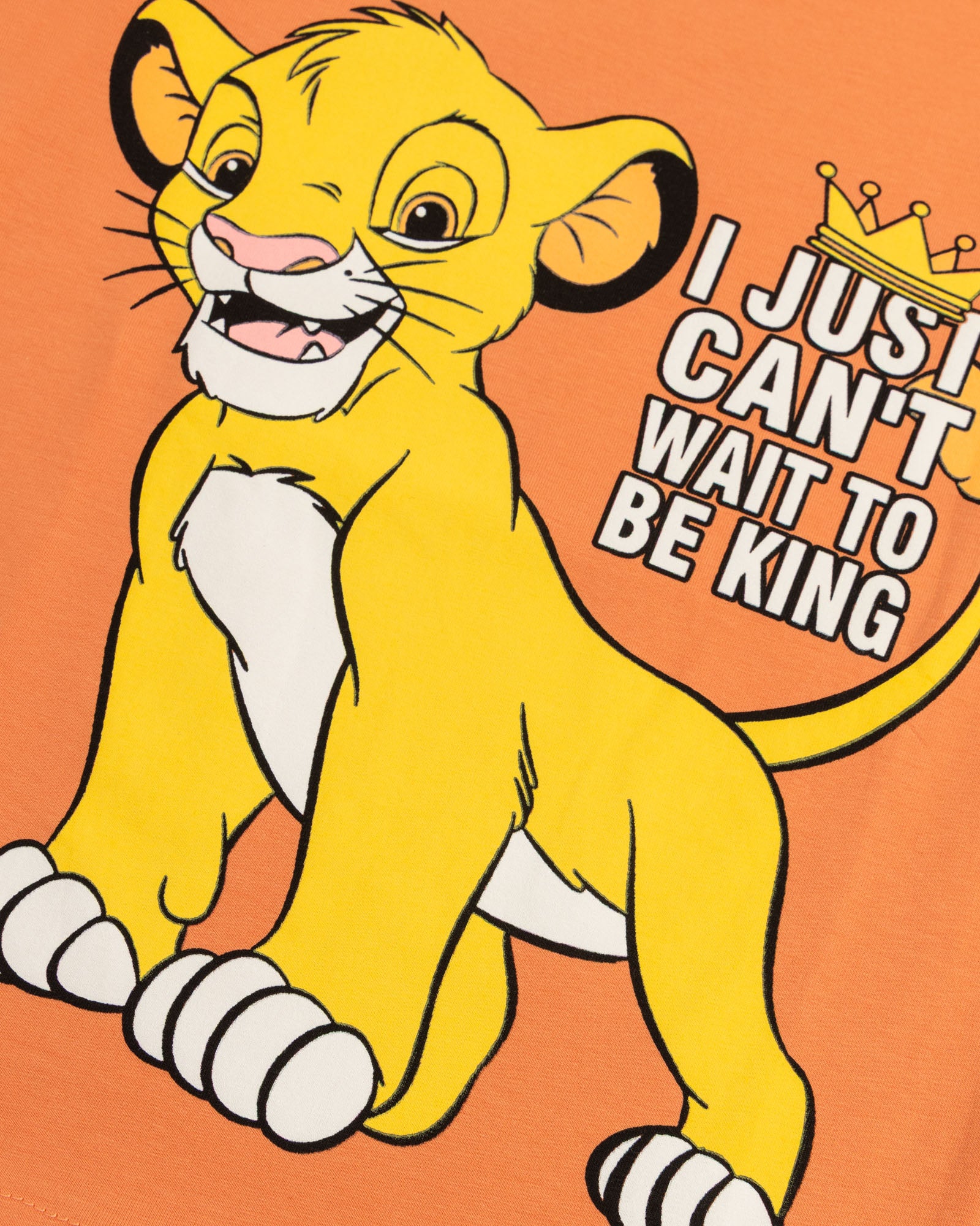 Lion king separates